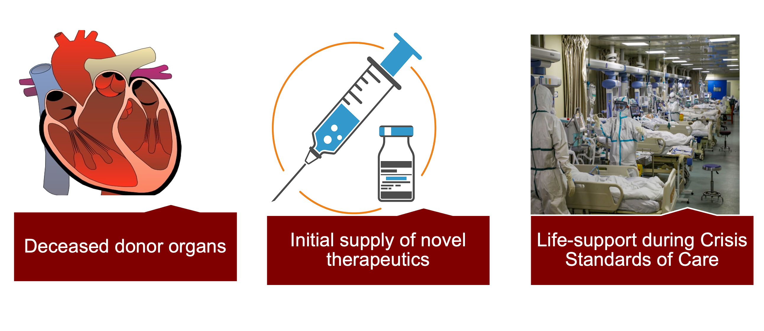 Research areas: Deceased donor organs, Initial supply of novel therapeutics, Life-support during Crisis Standards of Care